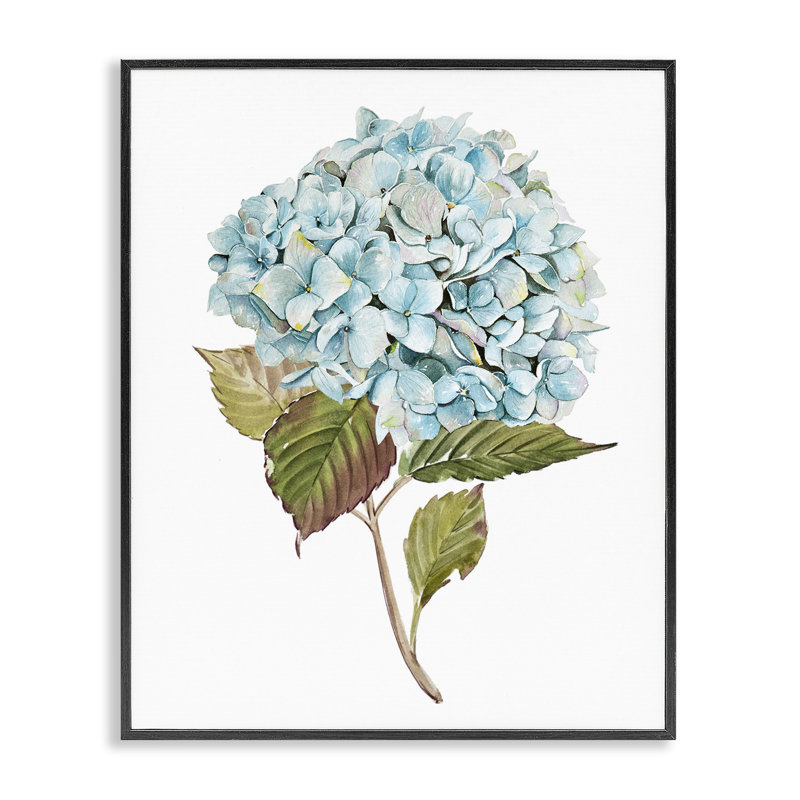 «Simple Hydrangea Bud Art» par Enya Todd bg-170, H 30 po x l 24 po, Giclée encadrée noir minuit