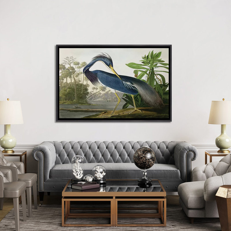 «Wick Louisiana Heron» par John James Audubon, reproduction sur toile, Impression encadrée, H 26 po x l 40 po, Noir