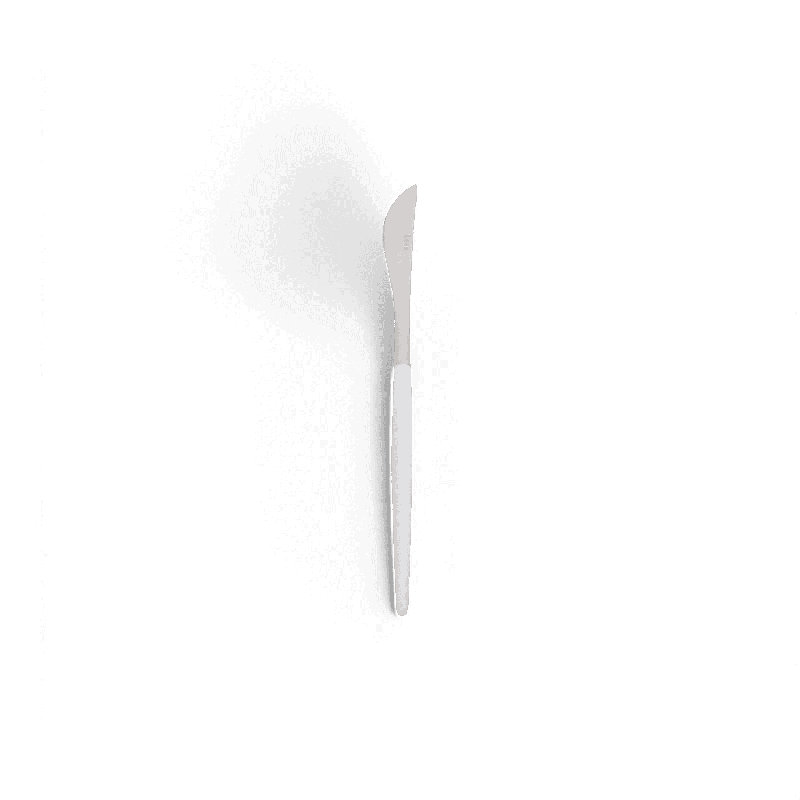 Ensemble de couverts Paradiso blanc et argent