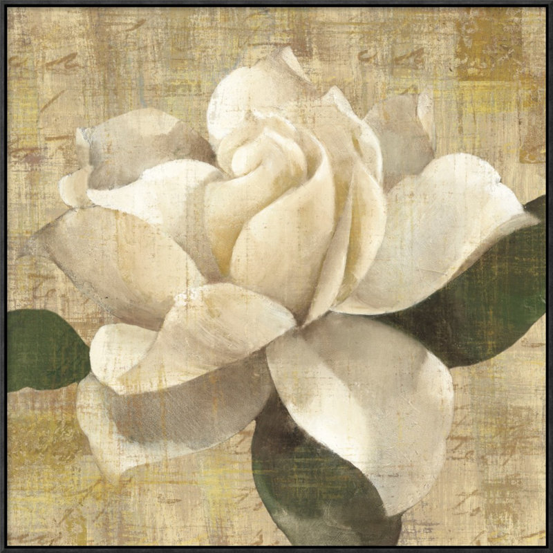 " Gardenia Blossom On Script " by Albena Hristova, 18" H x 18" W, Wrapped Canvas, No Matte