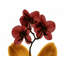 Art sur toile tendue, Astoria Grand Koetsier, Albert, AK5-RC-040C3-674011922