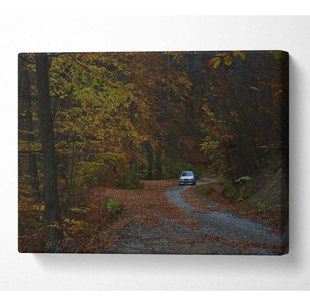 Golden Forest Driveway