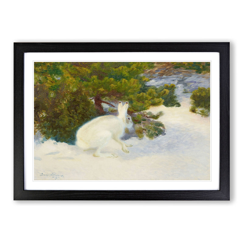 White Hare Vol.8 by Bruno Liljefors - Picture Frame Painting, Black, 27cm H x 36cm W x 2cm D