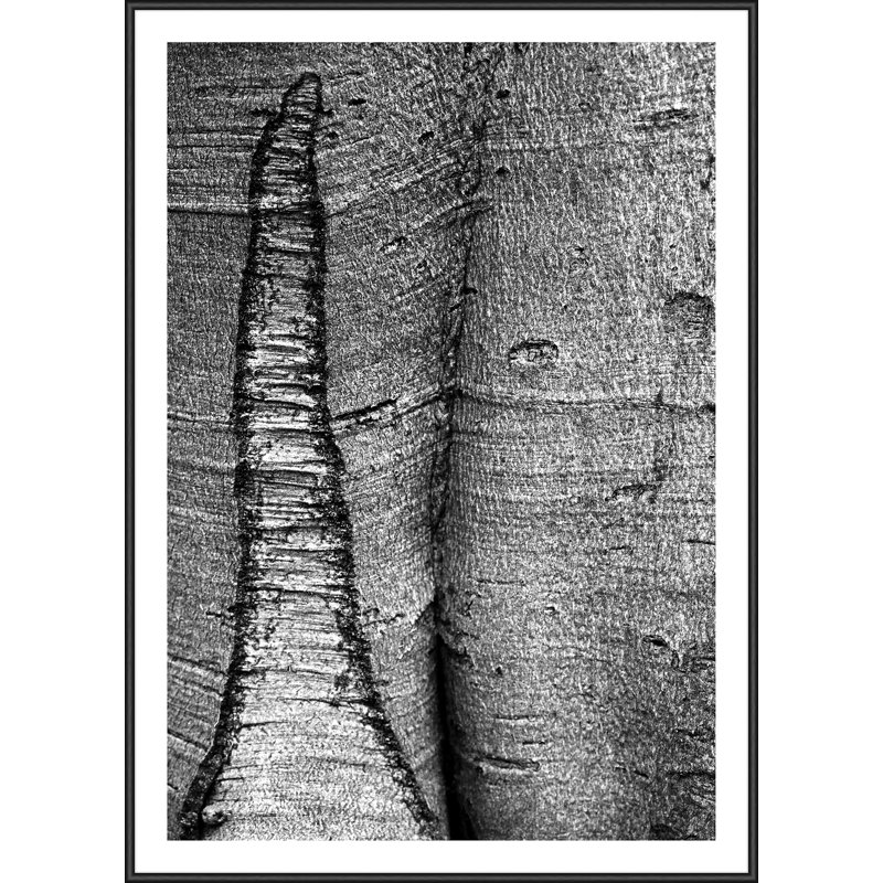 Single Picture Frame Print