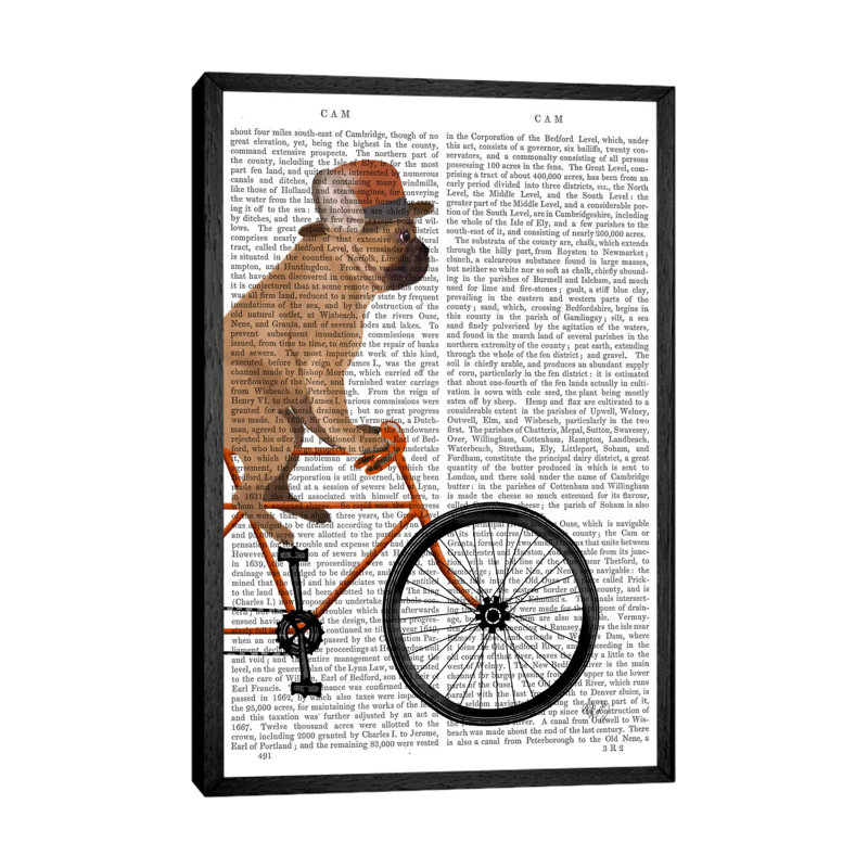 French Bulldog On Bicycle, Print BG by Fab Funky - Floater Frame Gallery-Wrapped Canvas Giclée on Canvas, Black Framed