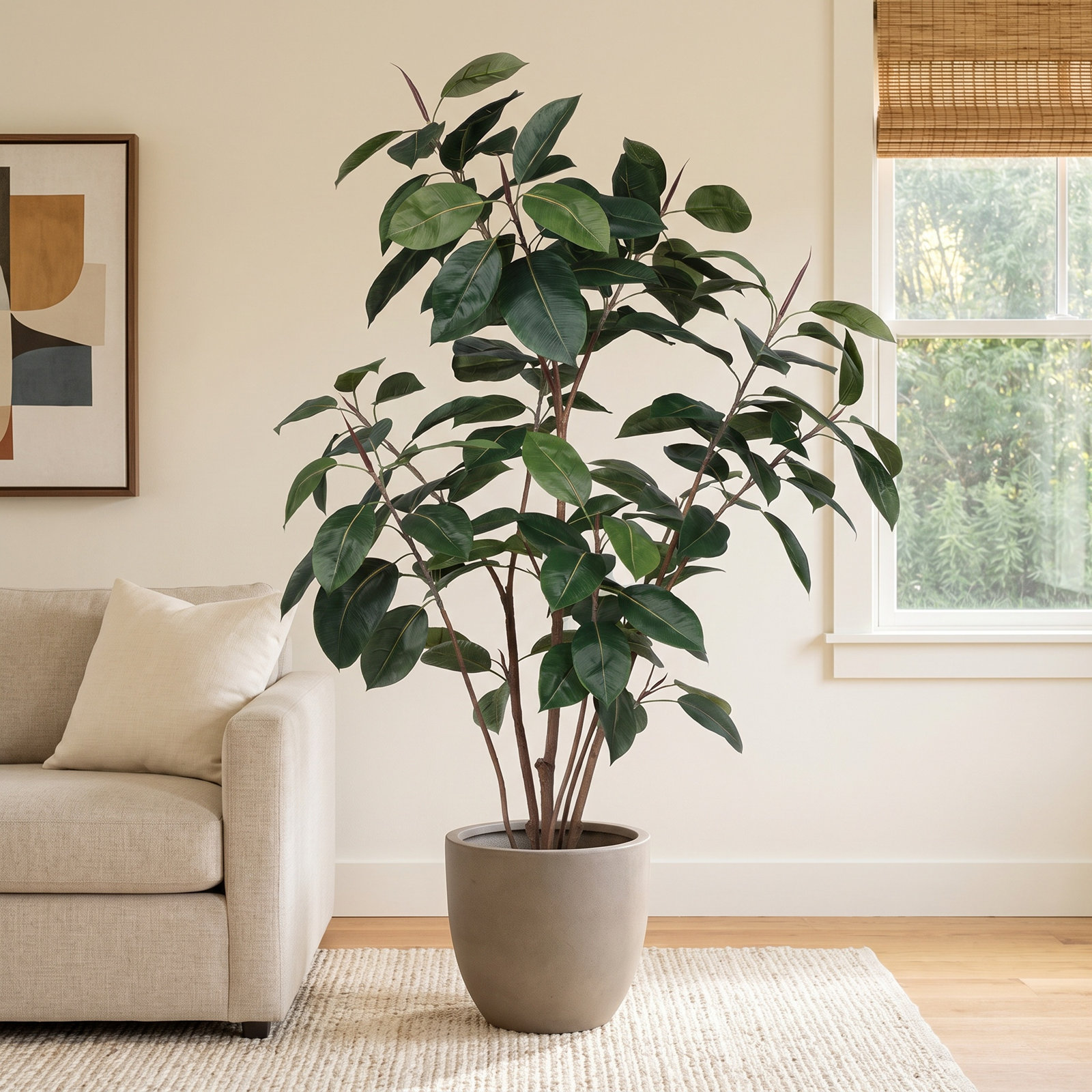 Solerno Rubber Tree with Base, 60" H x 34" W x 34" D