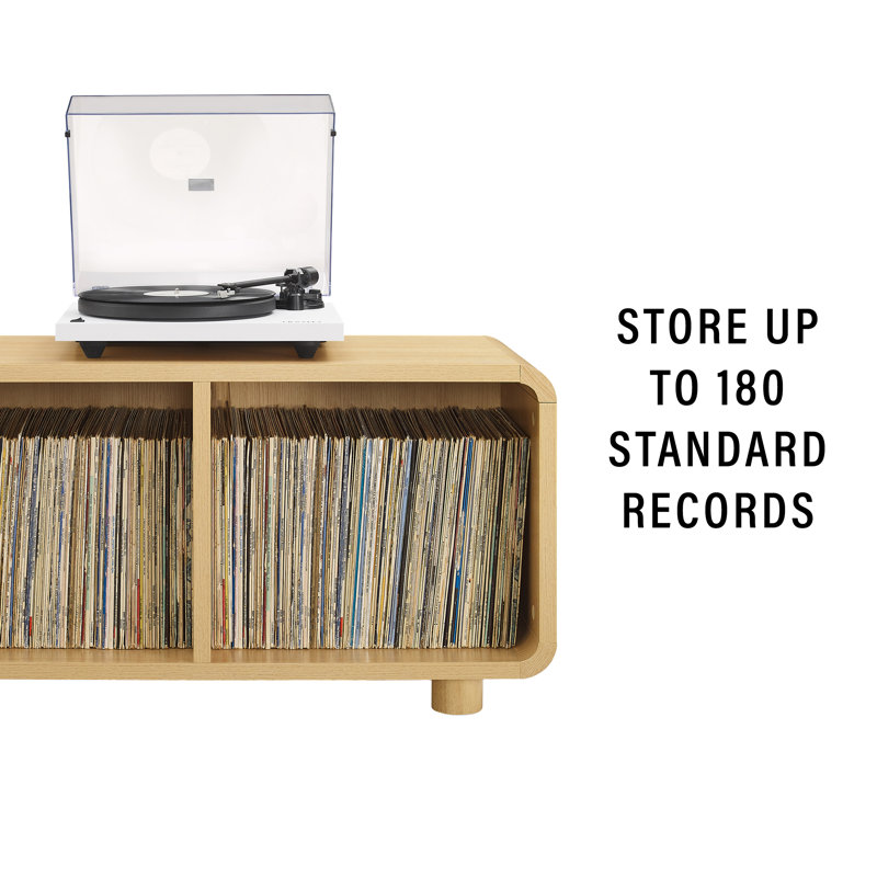Luzerne Medium Record Storage Console | Ebern Designs