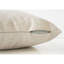 Élégants coussins décoratifs beiges élégants de 18 po x 18 po, insert en polyester hypoallergénique inclus pour le patio du canapé du vestibule du salon-123275093