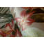 Auhert Kiribati Floral Inspired 8.5 m x 70cm Wallpaper Rol-929359090