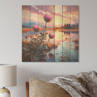 Chardon mauve, coucher de soleil, étang, sérénité - chardon sur bois
