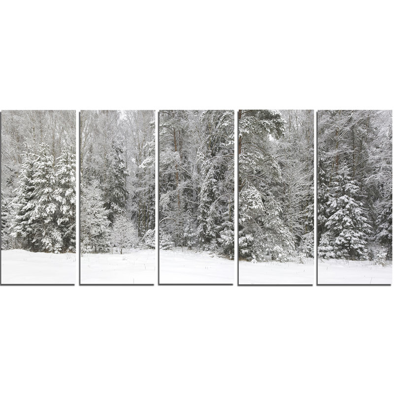 Foggy Winter Forest Panorama Canvas Print in Multi-Color