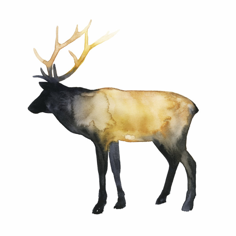 Elk Aglow I by Grace Popp - Wrapped Canvas Print, 51cm H x 51cm W x 3.8cm D