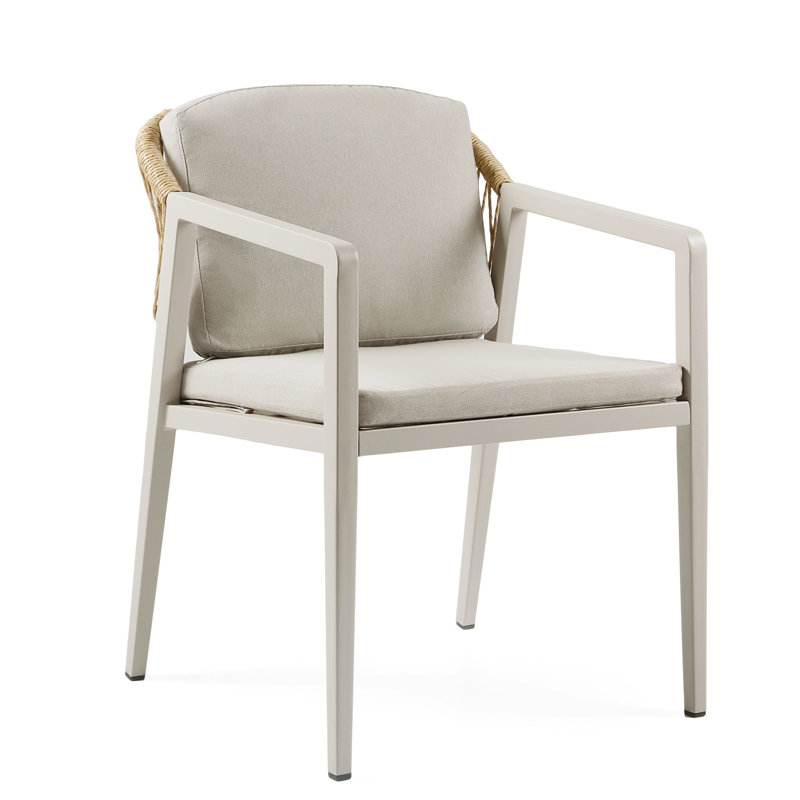 2 pièces chaises de patio pour l'extérieur - eau de tissage - assise et coussin en fer structure stable gris météo