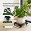 Plant Stand