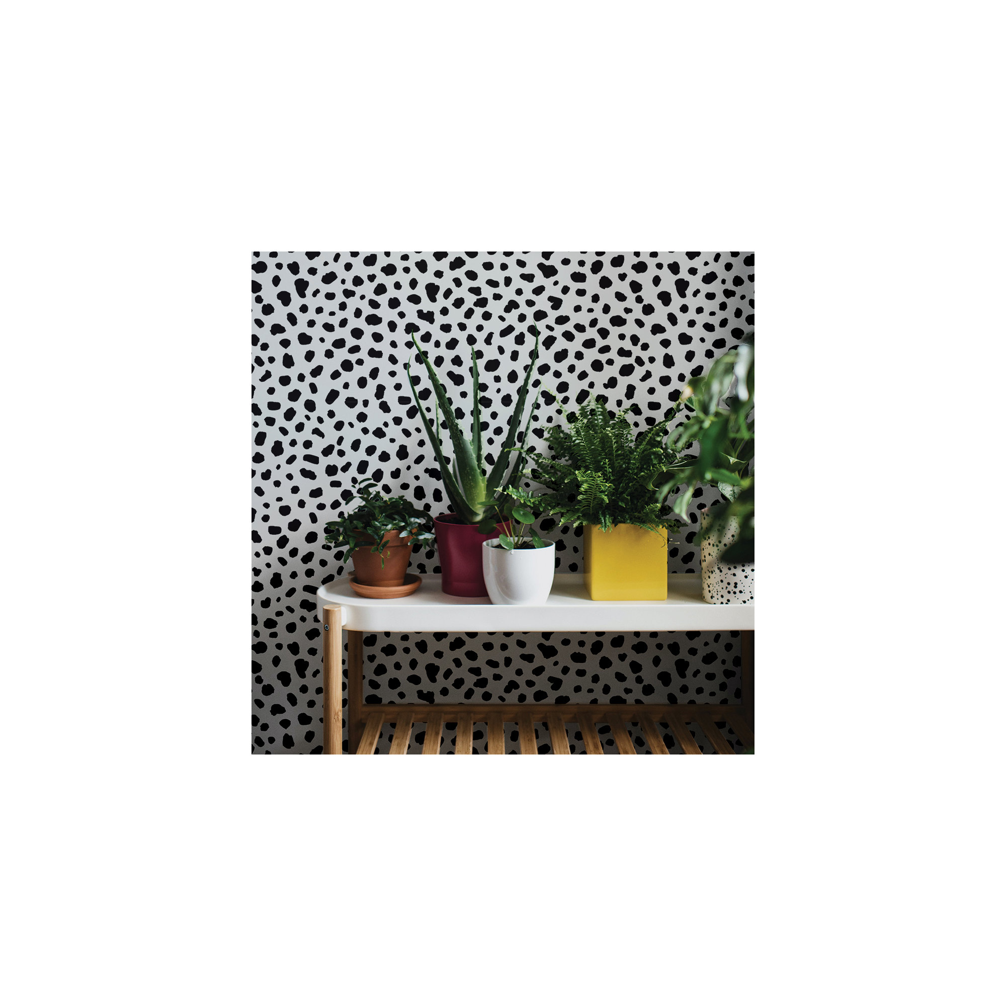 Scout Peel And Stick Wallpaper By Novogratz, Black/White