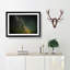 Stars over Mexico - Picture Frame Graphic Art Print-55730526-55730524