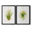 «Hanging Airplant II», ensemble de 2 reproductions d'art-105408470-105408458-105408457