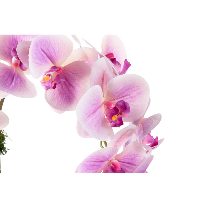 Jetta Oversized Realtouch Orchid Arrangement in Large Fiberstone Bowl, Purple