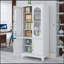 Metal Decorative Office Filing Storage Cabinet with Lock and Adjustable Shelves, Perfect for Organized and Stylish Workspaces-440194990-440194977