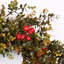 24" Artificial Fall Autumn Mini Eucalyptus Berry Front Door Wreath For Thanksgiving Day