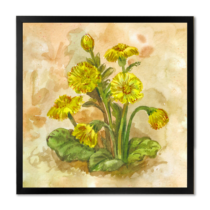Fleur de printemps jaune en fleurs - Tussilago, Toile avec cadre noir, H 16 po x l 16 po x P 1 po