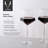 Seneca Diamond Crystal Wine Glasses