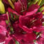 Leaf Design Large Artificial Gladioli Stems 115cm Faux Plant-114785208-114785210