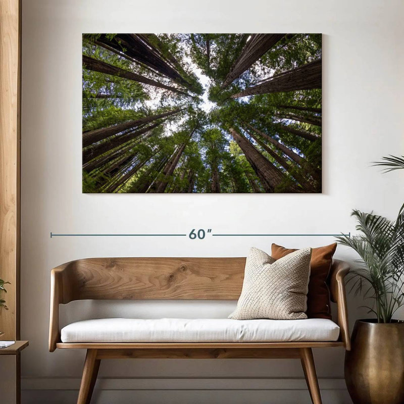 Harnek dans la forêt de séquoia, H 32 po x l 48 po
