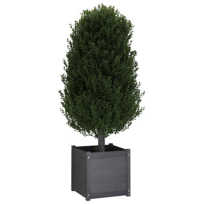 Planter Box