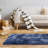 Draizy Indoor Rug-168982281