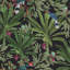 Rouleau de papier peint L 33 pi x l 20,5 po Vanessa Jungle Tropics-1161318601