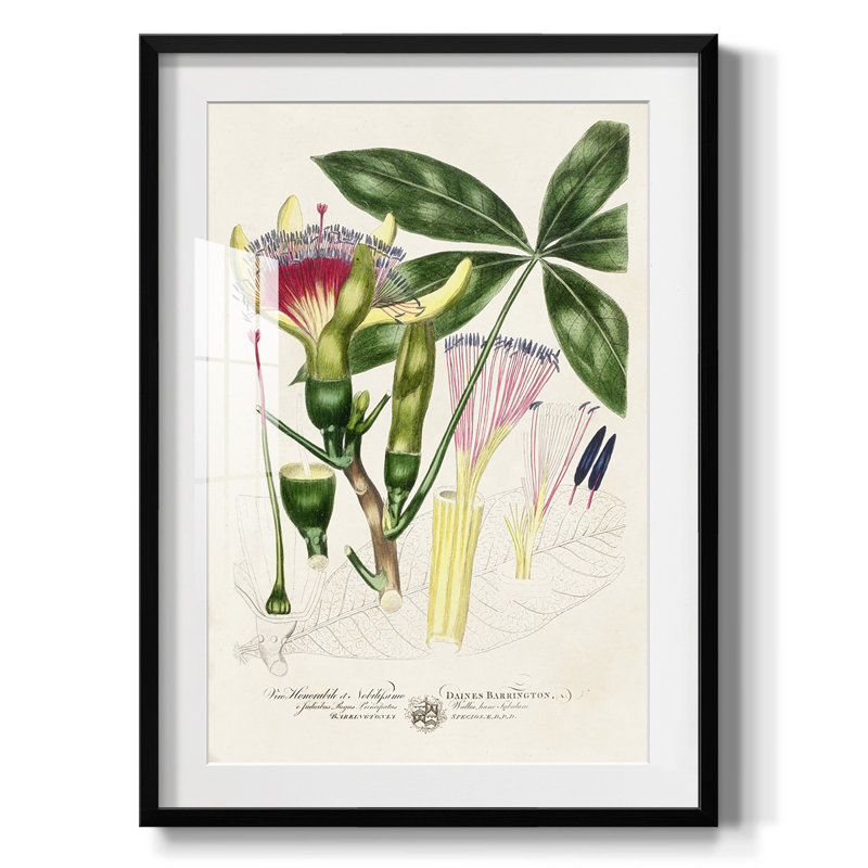 Pyron - Toile tendue avec châssis, H 28,5 po x l 20,5 po, Noir