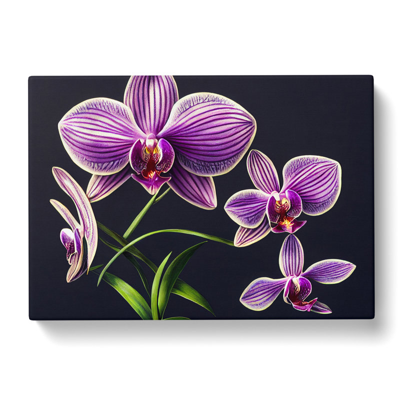 Dreamlike Orchid Flowers - Wrapped Canvas, 35cm H x 50cm W