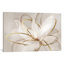 Transparent Beauty Lii - Wrapped Canvas Print-820488843-838013391