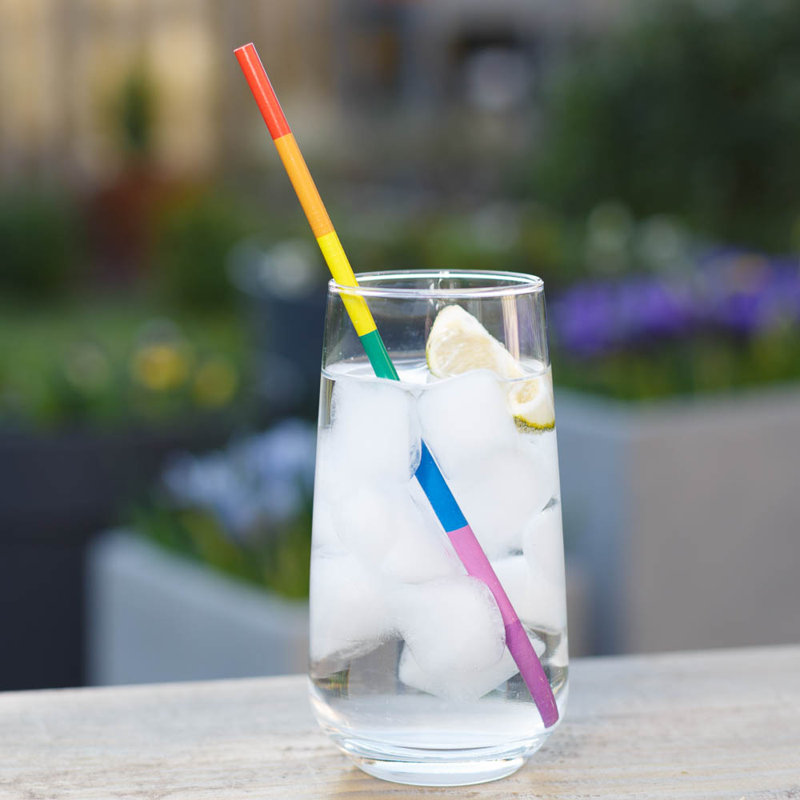 Echo Three Stainless Steel Reusable Straws