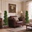 119.99 cm H Faux Cypress Topiary Plant in Plastic and Cement