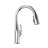Lulani Kauai Pull Down Single Handle Kitchen Faucet-50297534