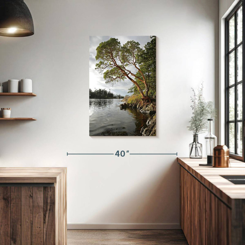 Arbousier Harnek au bord de l'eau, H 36 po x l 24 po