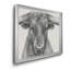 Longhorn Bull - Reproduction de photo encadrée sur toile-1613717464-1613717471