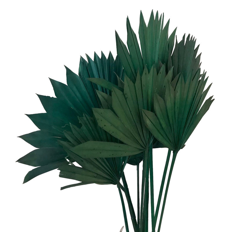 Forsyth Arrangement, Moss Green