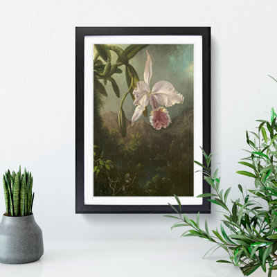Orchid Blossoms by Martin Johnson Heade - Framed Print