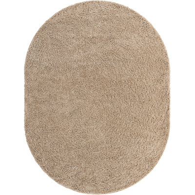 Indoor Rug