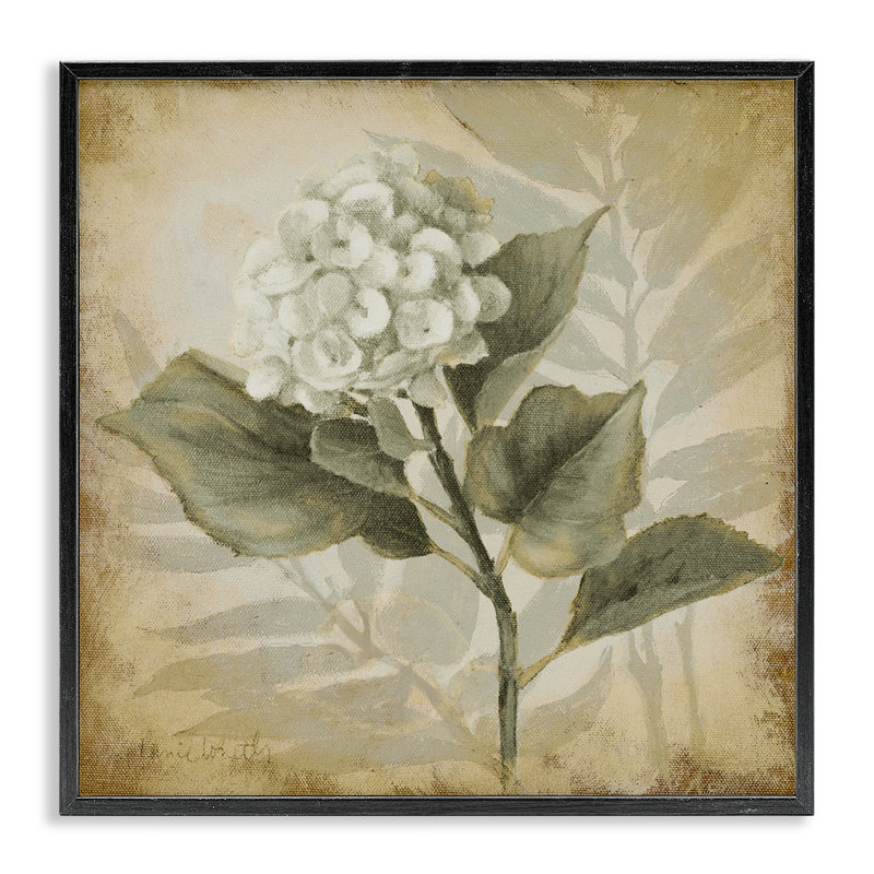 Impression de giclée aubergine aubergine impression sur toile grise par Lanie Loreth, H 12 po x l 12 po