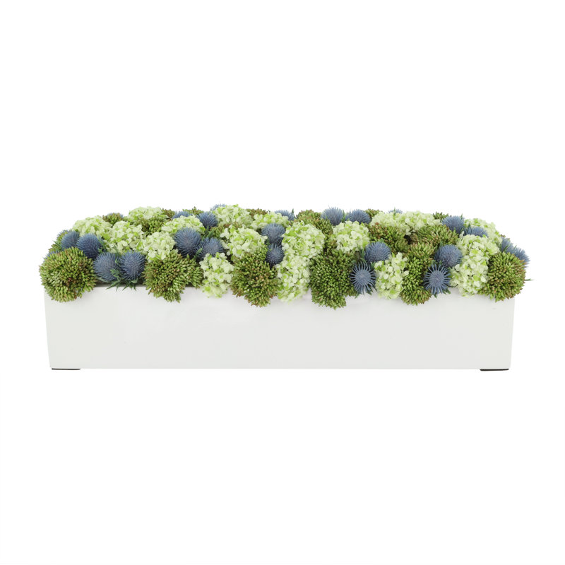 Sedum and Thistle Arranged in Rectangular Planter