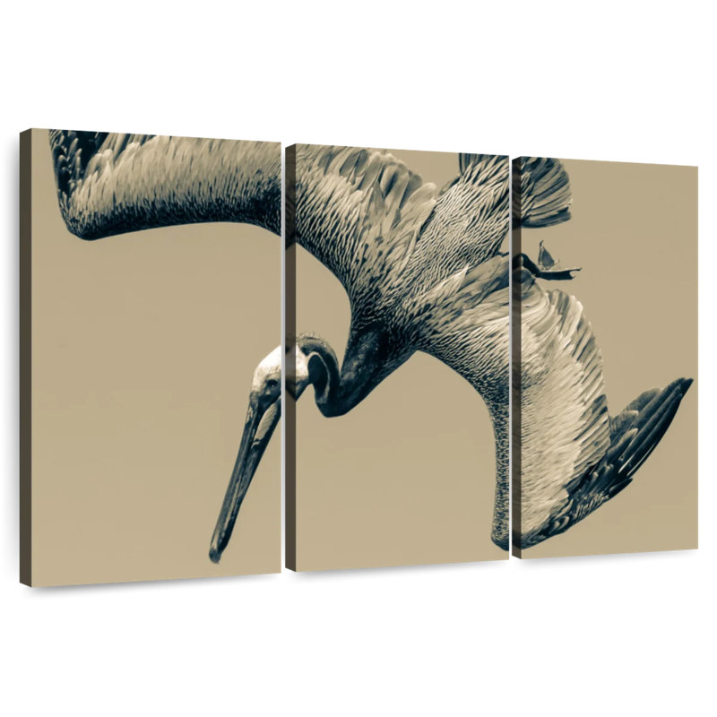 Brampt Flying Pelican, 20" H x 33" W
