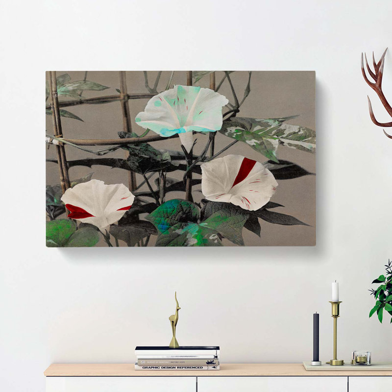 Morning Glory Flowers by Kazumasa Ogawa - Wrapped Canvas, 35cm H x 50cm W x 3cm D