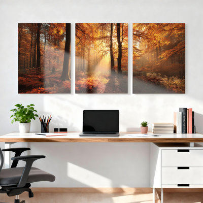 Autumn Forest Sunlight Canvas Wrapped Wall Art Set Of 3