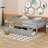 Sherilynn Daybed-816256249-816256248