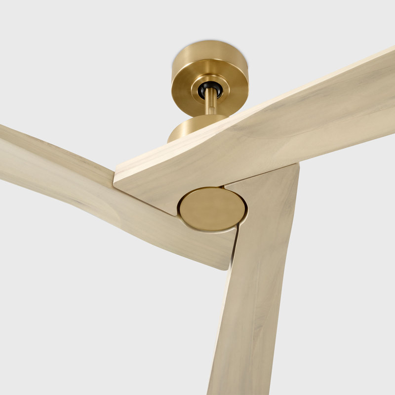 Visual Comfort Fan Alma Smart 52 Indoor Ceiling Fan with Natural Honey blades and Handheld Remote, Burnished Brass