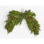 21" Faux Christmas Juniper with Seed Cone Swag